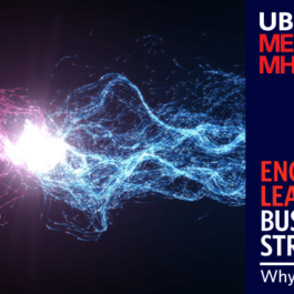 UBC MEL Business Leader Business Strategist