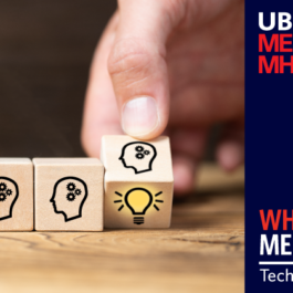 UBC MEL MHLP - Technical Leadership